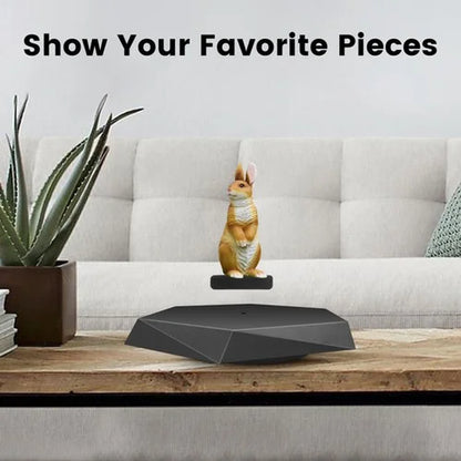 Levitating Flower Pot - Auto-Spinning Floating Planter, Unique Home/Office Gift